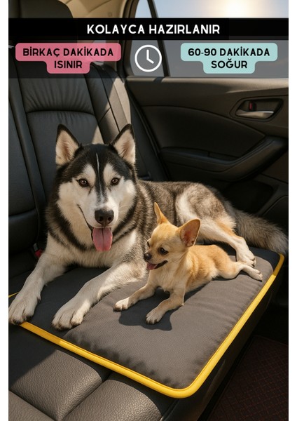 Serin (80X60cm) - 4 Mevsim Kedi/ Köpek Matı, Sıcak Veya Soğuk Kullanılabilen Minder Yatak