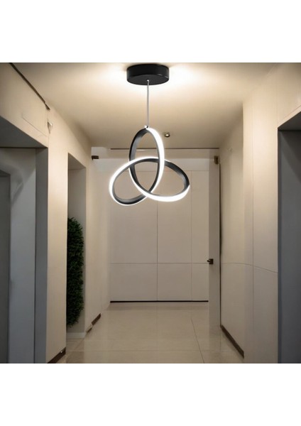 Tunus Siyah Kasa Beyaz Led Işıklı Modern LED Avize