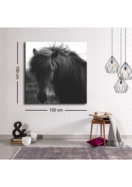 - Dekoratif Baskı Illüstrasyon Horse 2 Kanvas Tablo