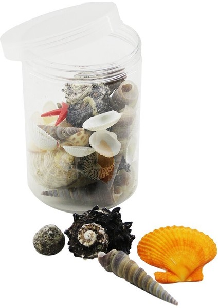 Plastik Kavanoz Midye Deniz Kabuk Vazo Taşı (4767) - Lisinya