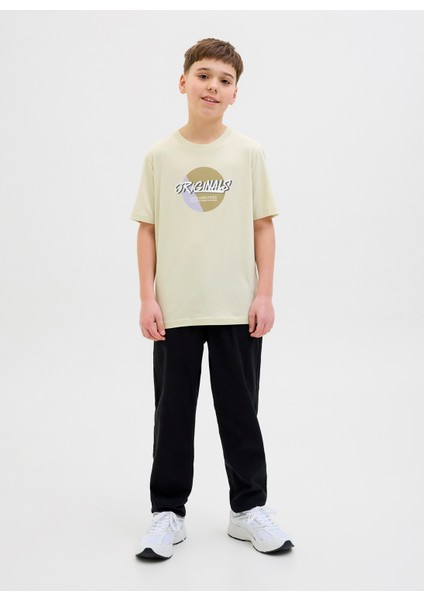 Baskılı Taş Erkek Çocuk T-Shirt 12278350