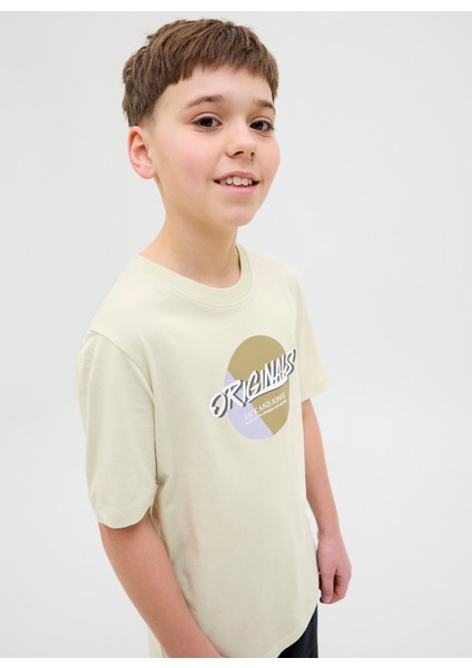 Baskılı Taş Erkek Çocuk T-Shirt 12278350 fiyatları