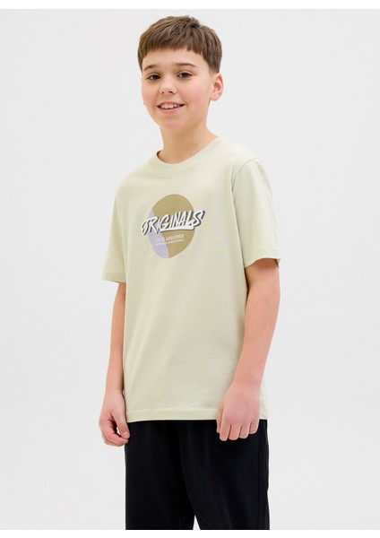 Baskılı Taş Erkek Çocuk T-Shirt 12278350 modelleri