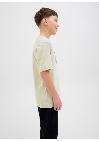 Baskılı Taş Erkek Çocuk T-Shirt 12278350 fırsatları