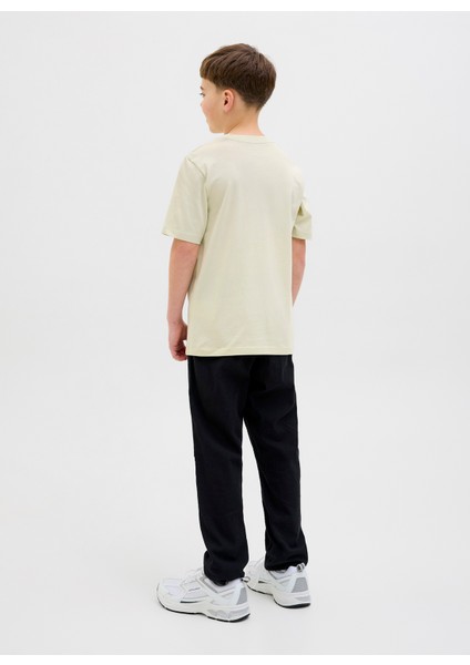 Baskılı Taş Erkek Çocuk T-Shirt 12278350 indirimleri