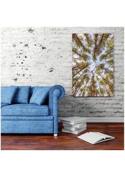 - Dekoratif Baskı Özel Tasarım Kanvas Tablo 222