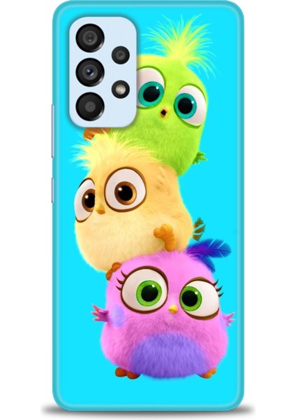 Samsung Galaxy A53 5g Hd Baskılı Kılıf + Seramik Tam Kaplayan Ekran Koruyucu 369