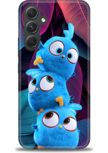 Samsung Galaxy A54 Hd Baskılı Kılıf + Seramik Tam Kaplayan Ekran Koruyucu 363