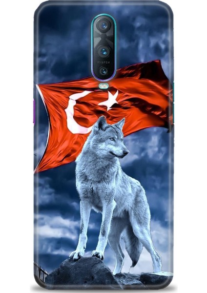 Oppo RX17 Pro Kılıf Hd Baskılı Kılıf + Seramik Tam Kaplayan Ekran Koruyucu 36