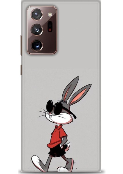 Samsung Galaxy Note 20 Hd Baskılı Kılıf + Seramik Tam Kaplayan Ekran Koruyucu 403