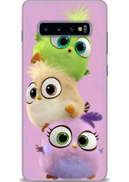 Samsung Galaxy S10 Plus Hd Baskılı Kılıf + Seramik Tam Kaplayan Ekran Koruyucu 362