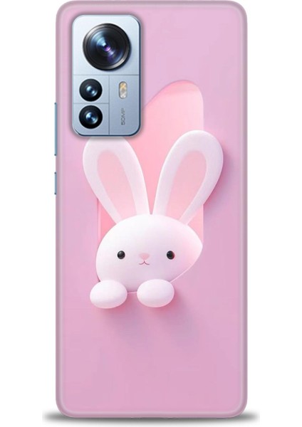 Xiaomi Mi 12 Pro Kılıf Hd Baskılı Kılıf + Seramik Tam Kaplayan Ekran Koruyucu 74