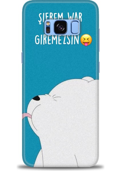 Samsung Galaxy S8 Hd Baskılı Kılıf + Seramik Tam Kaplayan Ekran Koruyucu 152