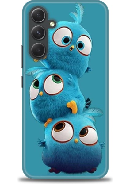 Samsung Galaxy A54 Hd Baskılı Kılıf + Seramik Tam Kaplayan Ekran Koruyucu 365