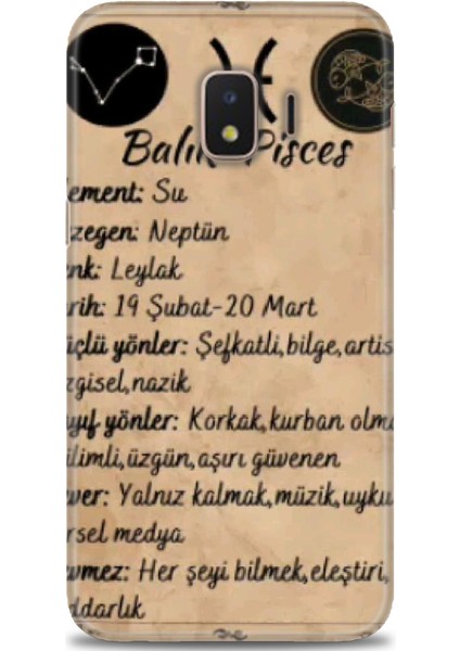 Samsung Galaxy J2 Core Hd Baskılı Kılıf + Seramik Tam Kaplayan Ekran Koruyucu 473
