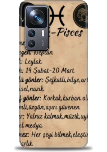 Xiaomi Mi 12T Pro Kılıf Hd Baskılı Kılıf + Seramik Tam Kaplayan Ekran Koruyucu 473