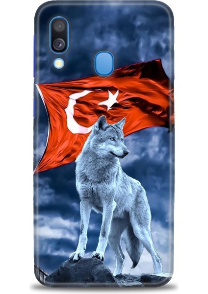 Samsung Galaxy A40 Hd Baskılı Kılıf + Seramik Tam Kaplayan Ekran Koruyucu 36