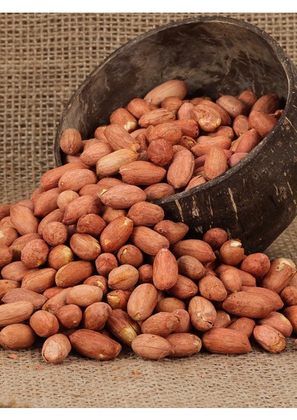 Kavrulmuş Tuzsuz Mercan Fıstık modelleri