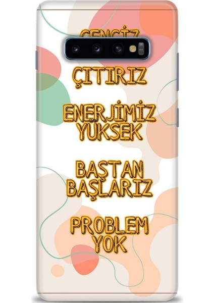 Samsung Galaxy S10 Plus Hd Baskılı Kılıf + Seramik Tam Kaplayan Ekran Koruyucu 170