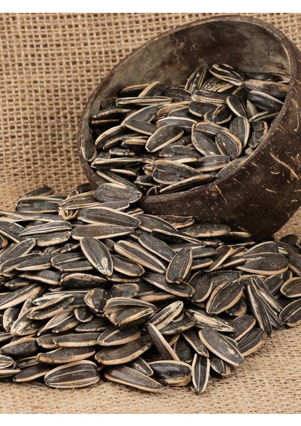 Kavrulmuş Tuzsuz Siyah Ay Çekirdeği modelleri