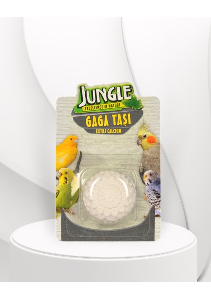 Gaga Taşı