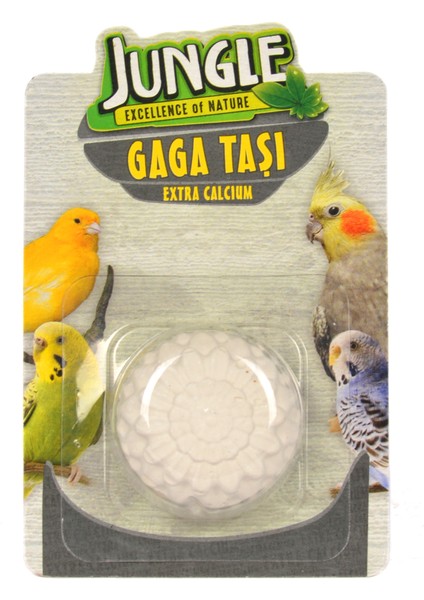 Gaga Taşı
