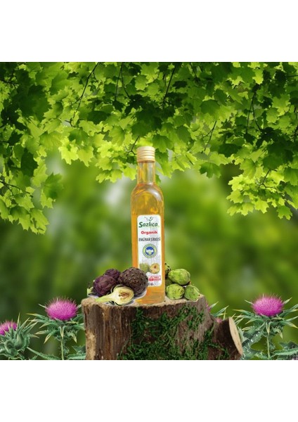 Sazlıca Enginar Sirkesi -500 ml - Cam Şişe - Sertifikalı -Silindir Şişe -Katkısız
