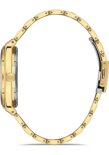 Davıd Guner Sarı Kaplamalı Siyah Kadranlı Erkek Kol Saati DG-8653GA-B2 fiyatları