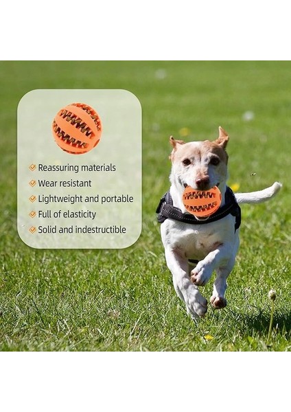 Mama Hazneli Köpek Eğitim ve Oyun Topu modelleri