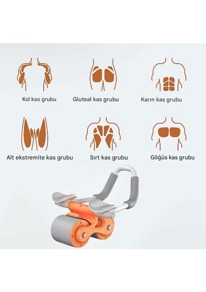 Ab Roller Karın Kası Egzersiz Tekerleği