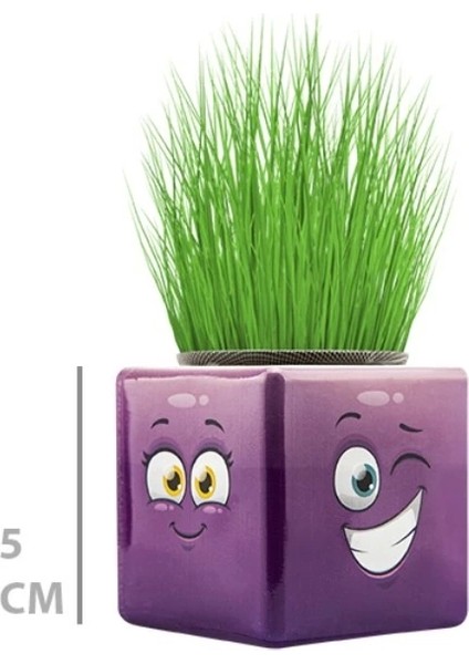 Çim Adam Mini Küp Emoji Figürlü 1 Adet