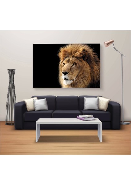 - Dekoratif Baskı Özel Tasarım Dikdödrtgen Kanvas Tablo 684