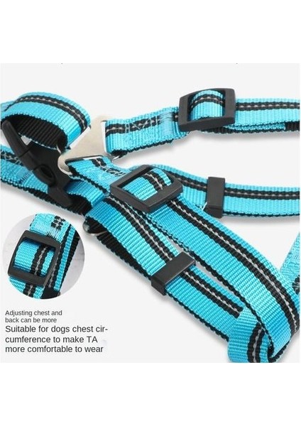 Pet Tasması, Yansıtıcı Göğüs Kayışı Köpek Tasması (Yurt Dışından)
