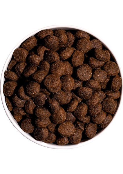12 kg Tavuklu Classic Energy Adult Köpek Maması fırsatları