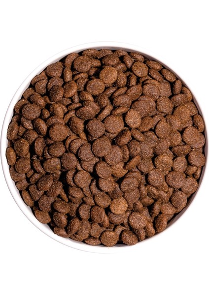 4 kg Tavuklu Classic Mini Adult Köpek Maması fırsatları
