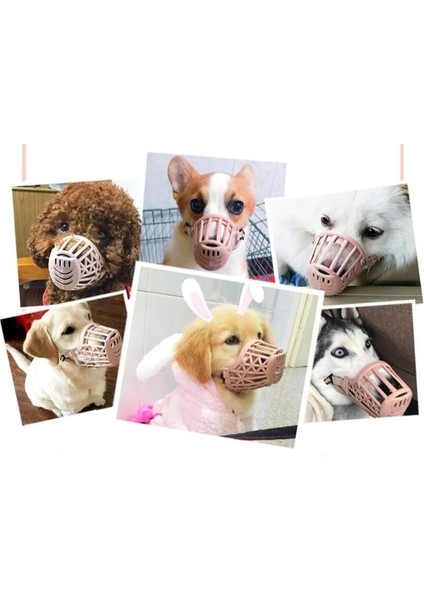 Köpek Koruma Ağızlığı 7'li Set