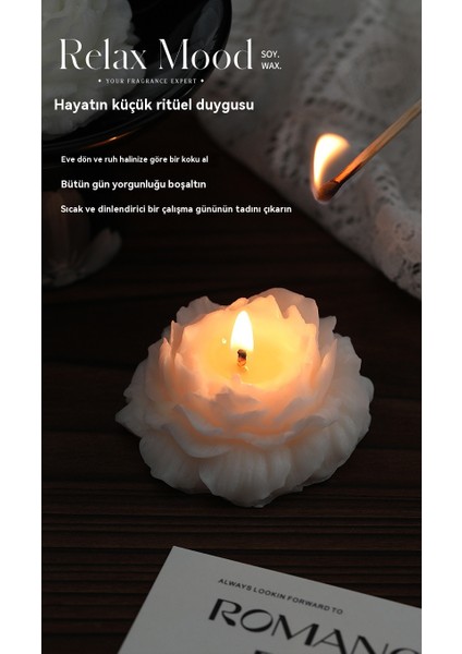 El Yapımı Şekilli Mum Aromaterapi Doğal Güvenli Kokulu Mum (Yurt Dışından)