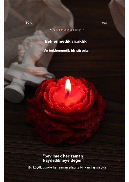 El Yapımı Şekilli Mum Aromaterapi Doğal Güvenli Kokulu Mum (Yurt Dışından)