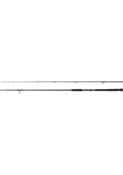 Currentsniper Xr S100M 305 cm Max 70 gr Shore Jig Kamışı