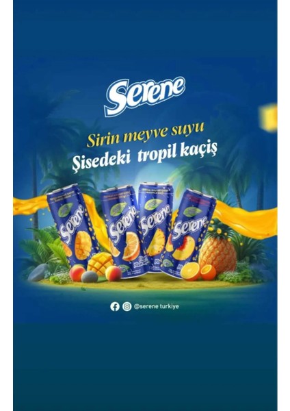 Parçacıklı Portakal Suyu 240 ml (24 Adet)