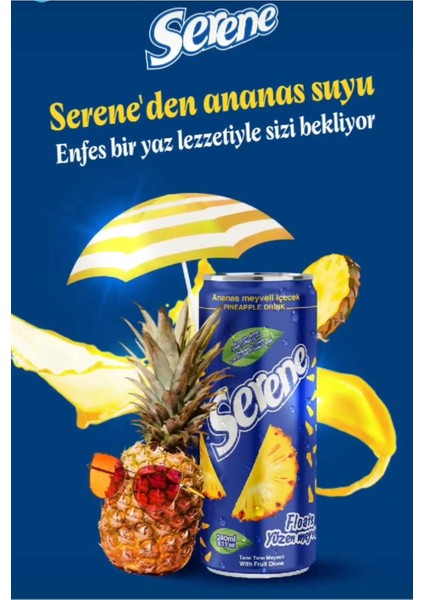 Parçacıklı Portakal Suyu 240 ml (24 Adet)