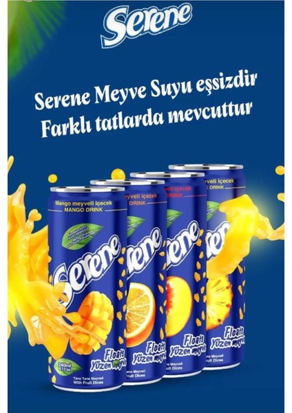Parçacıklı Portakal Suyu 240 ml (24 Adet)