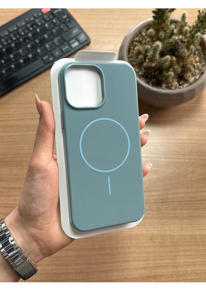 iPhone 15 Pro Max Animasyonlu Stylus Silikon Kılıf
