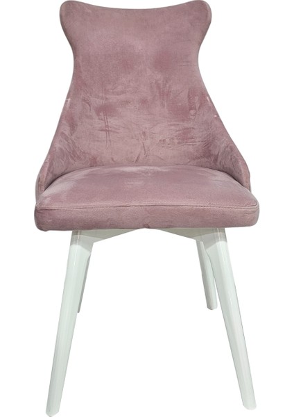 Hasağaç Gio Ahşap Modern Sandalye