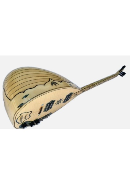 Uzun Sap Akçaağaç Elektro Saz Saz Bağlama, Electric Electro Long Neck Saz Baglama Free Case E22 fırsatları