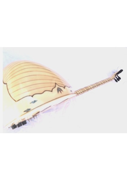 Uzun Sap Akçaağaç Elektro Saz Saz Bağlama, Electric Electro Long Neck Saz Baglama Free Case E22 indirimleri