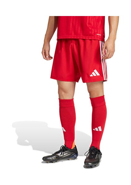 TASTIGO25 Sho M Erkek Futbol Antrenman Şortu JN7157 Renkli