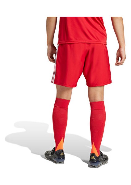 TASTIGO25 Sho M Erkek Futbol Antrenman Şortu JN7157 Renkli