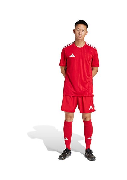 TASTIGO25 Sho M Erkek Futbol Antrenman Şortu JN7157 Renkli