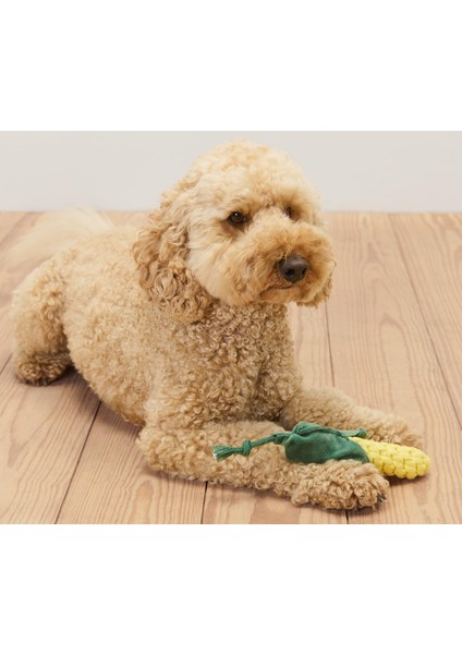 Köpek Oyuncağı »mısır«